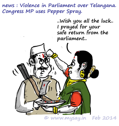 violence in parliament,telangana,pepper spray,l rajagopal,mysay.in,political cartoons,